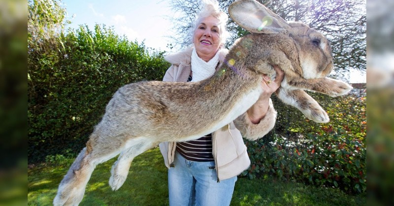 15 Abnormally Large Animals That Are Actually Real