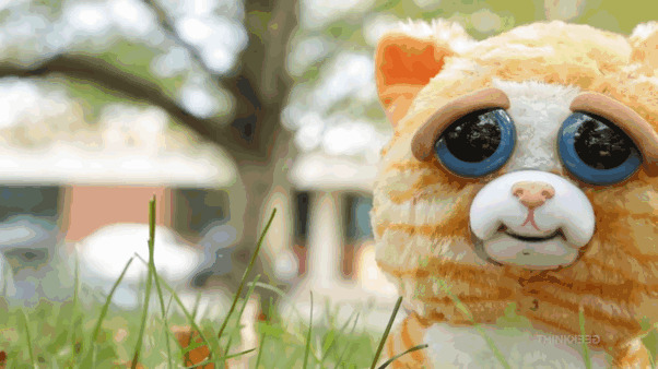 Stuffed Animals Turn From Adorable To Terrifying When You Squeeze Them
