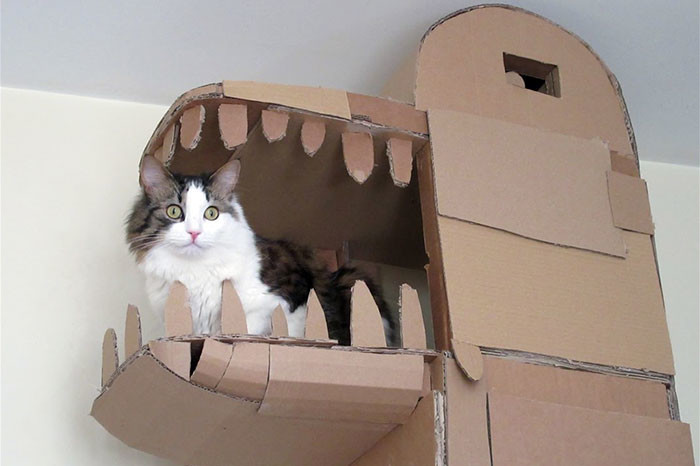 One creative guy named Sam just took cardboard cat houses to the next level