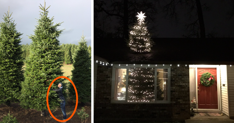 They Bought A 20ft Christmas Tree, And Found A Brilliant Way How To Fit It Inside