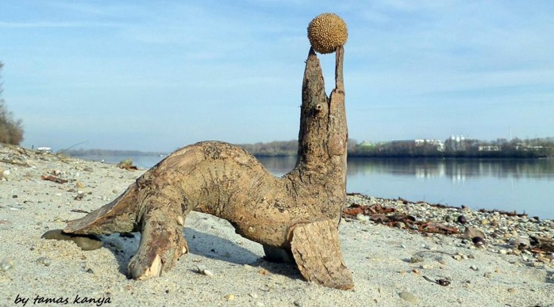 We Make Sculptures From The Wood That Has Been Washed By The Water