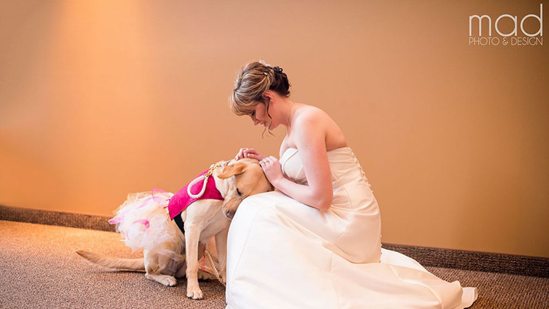 Bella the service dog made Valerie and Andrew’s wedding possible