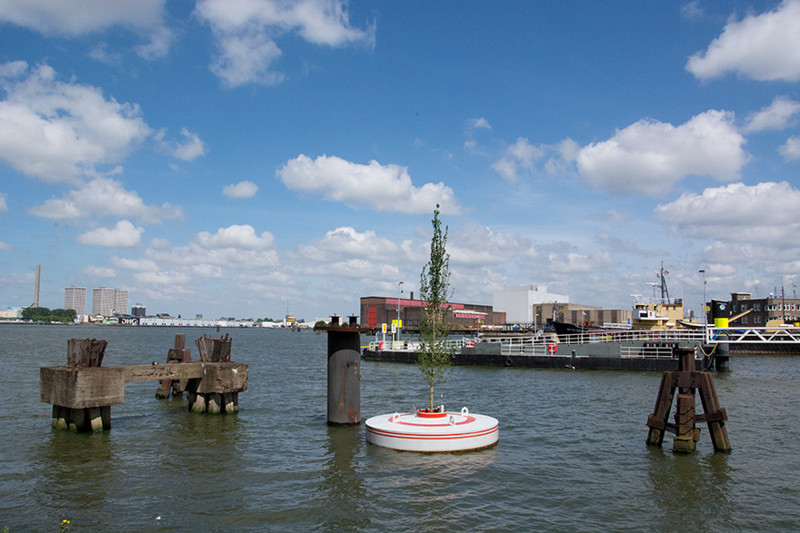 A Floating Forest To Be Installed In Rotterdam