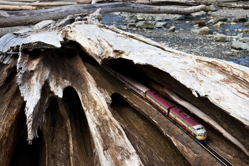 Driftwood, British Columbia