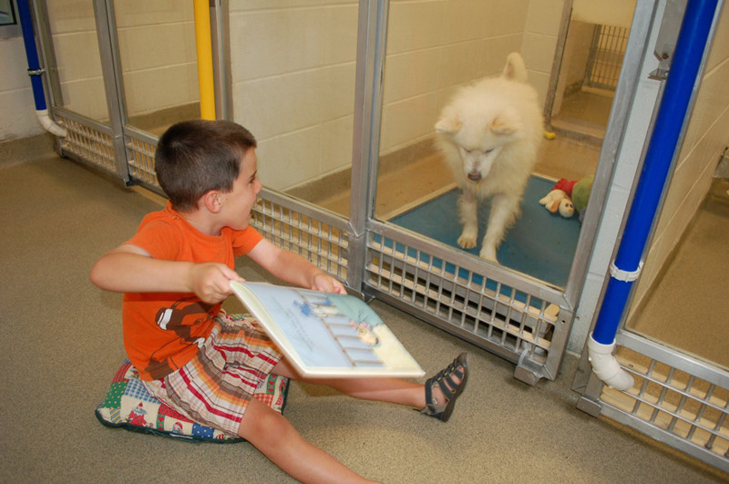 “Reading to the dogs helps to bring comfort to and reduce the anxiety of shelter pets”