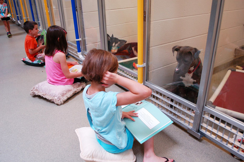 Kids read to shelter dogs not only to keep them company but also to make them more adoptable