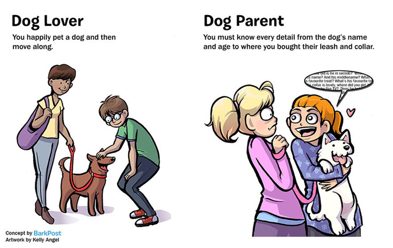 7 Differences Between Dog Lovers And Dog Parents