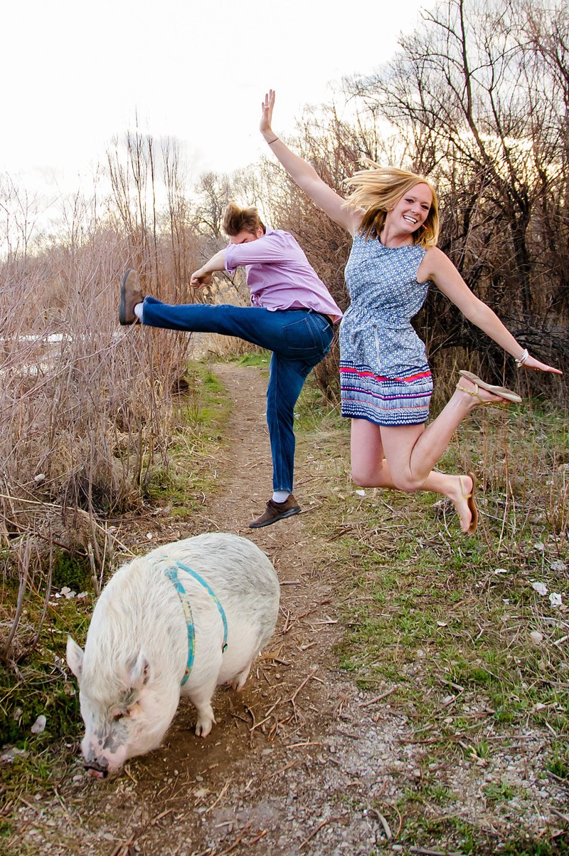 Pig Perfectly Photobombs All Of His Parents' Engagement Photos
