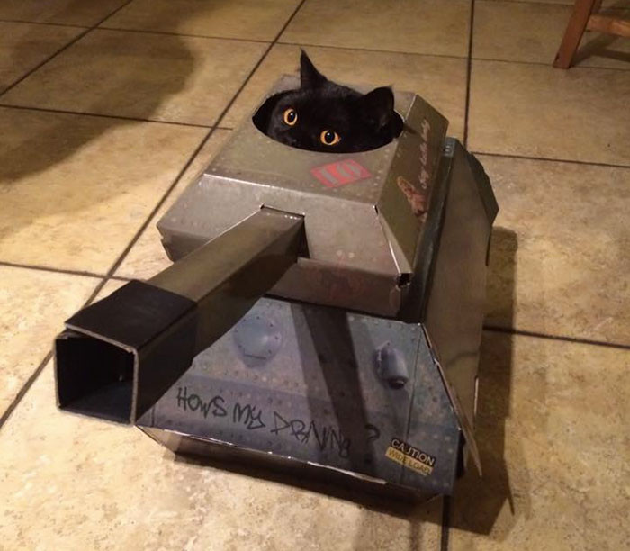 This Company Makes Cardboard Tanks, Planes And Houses For Cats, And Your Master Needs Them Right Meo