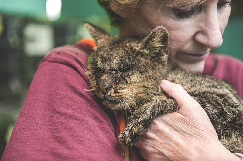 The woman pressed the kitty directly to her heart, and she wasn’t even wearing gloves