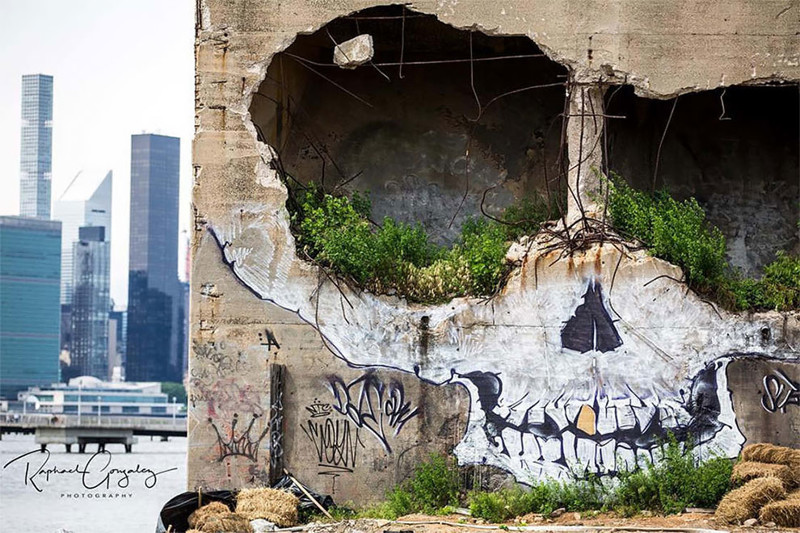 Street Artist Greg Suits Turns An Abandoned Building Into A Giant Skull