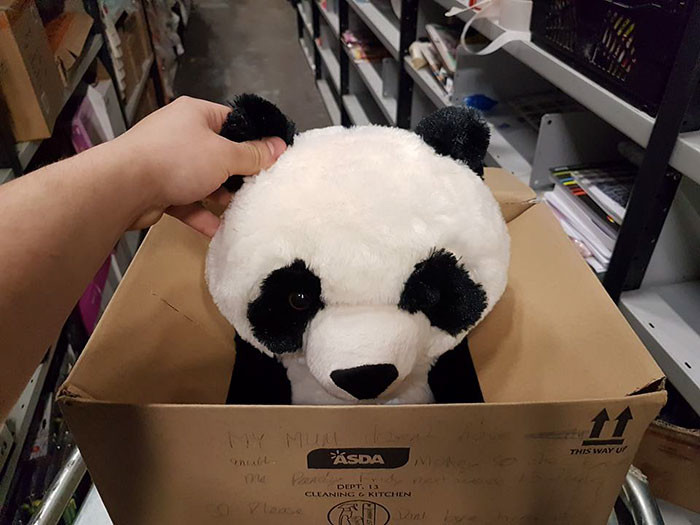 This is ‘Pandy,’ a cuddly toy that stole the heart of 10-year-old Leon Ashworth from Liverpool, England
