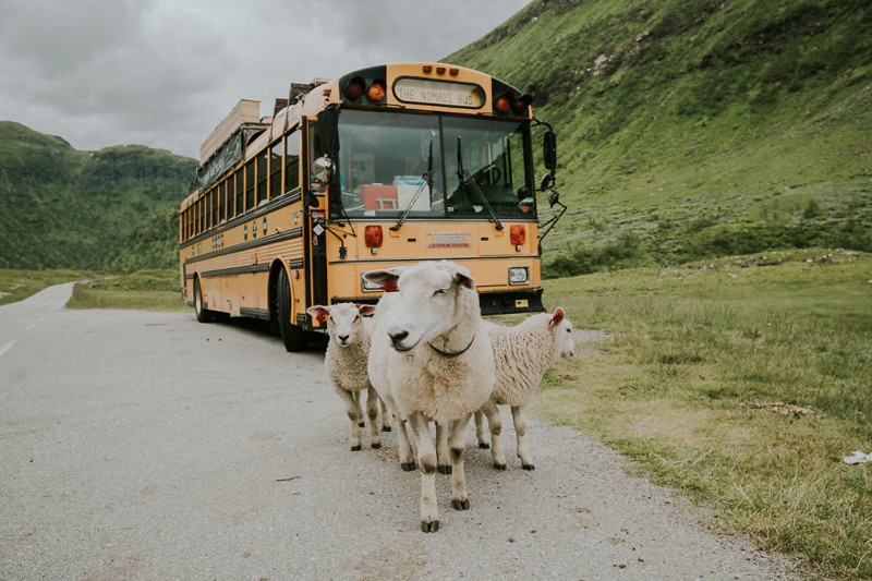 This sheep band wanted to create an ablum cover for the bus