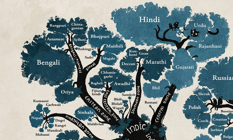 The Indo-Iranian group reveals the links between Hindi and Urdu as well as some regional Indian languages like Rajasthani