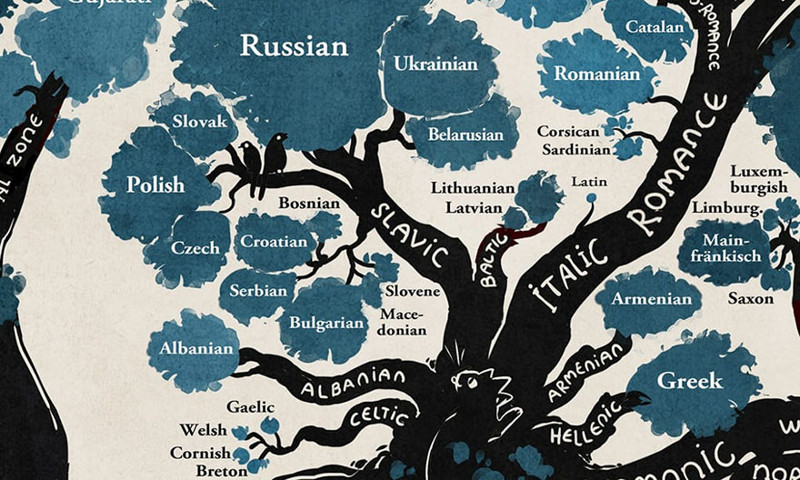 The European branch splits in three: Slavic, Romance and Germanic. A rather complicated relationship between the Slavic languages is visible