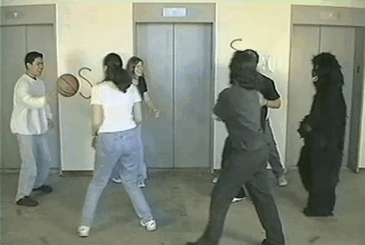 #11 The Invisible Gorilla Experiment