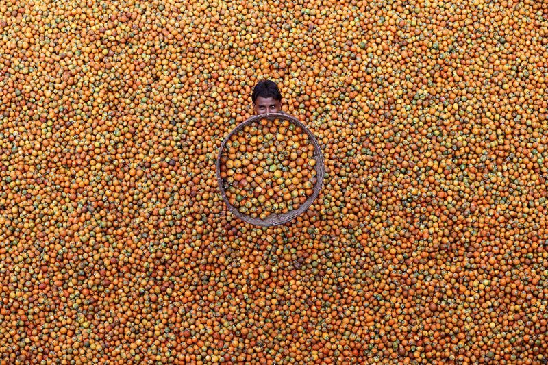 #15 Betel Nut By M. Yousuf Tushar (Honorable Mention In General Color Category)