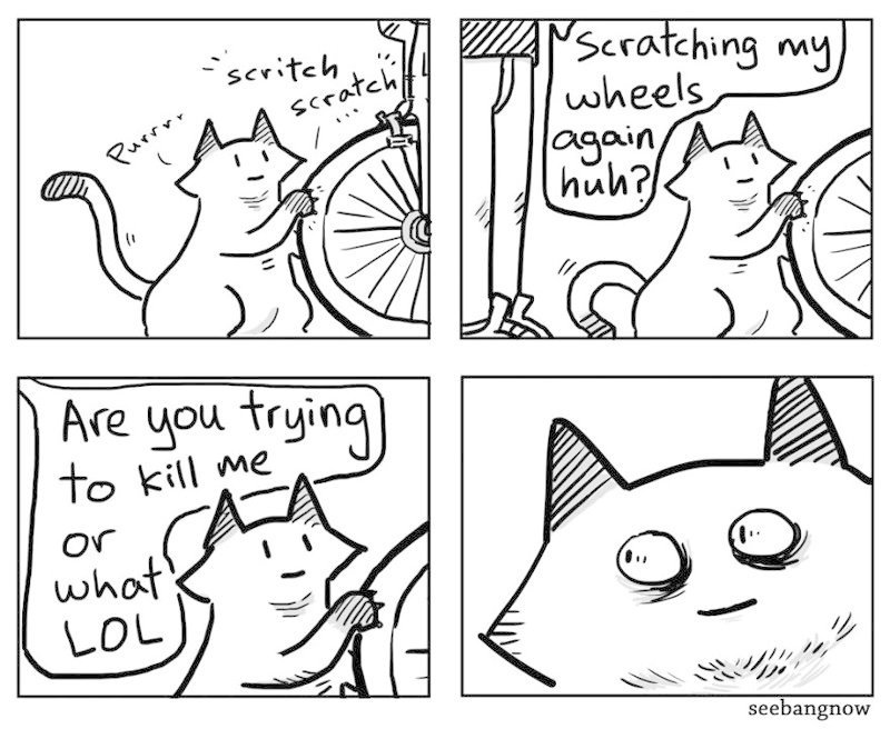 16 Hilarious Comics That Reveal The Reality Of Having A Cat