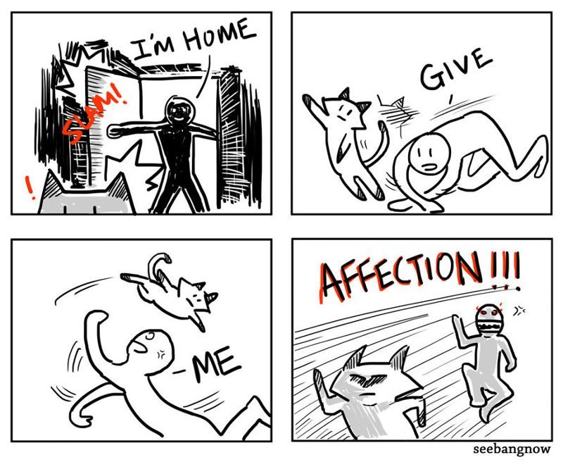 16 Hilarious Comics That Reveal The Reality Of Having A Cat