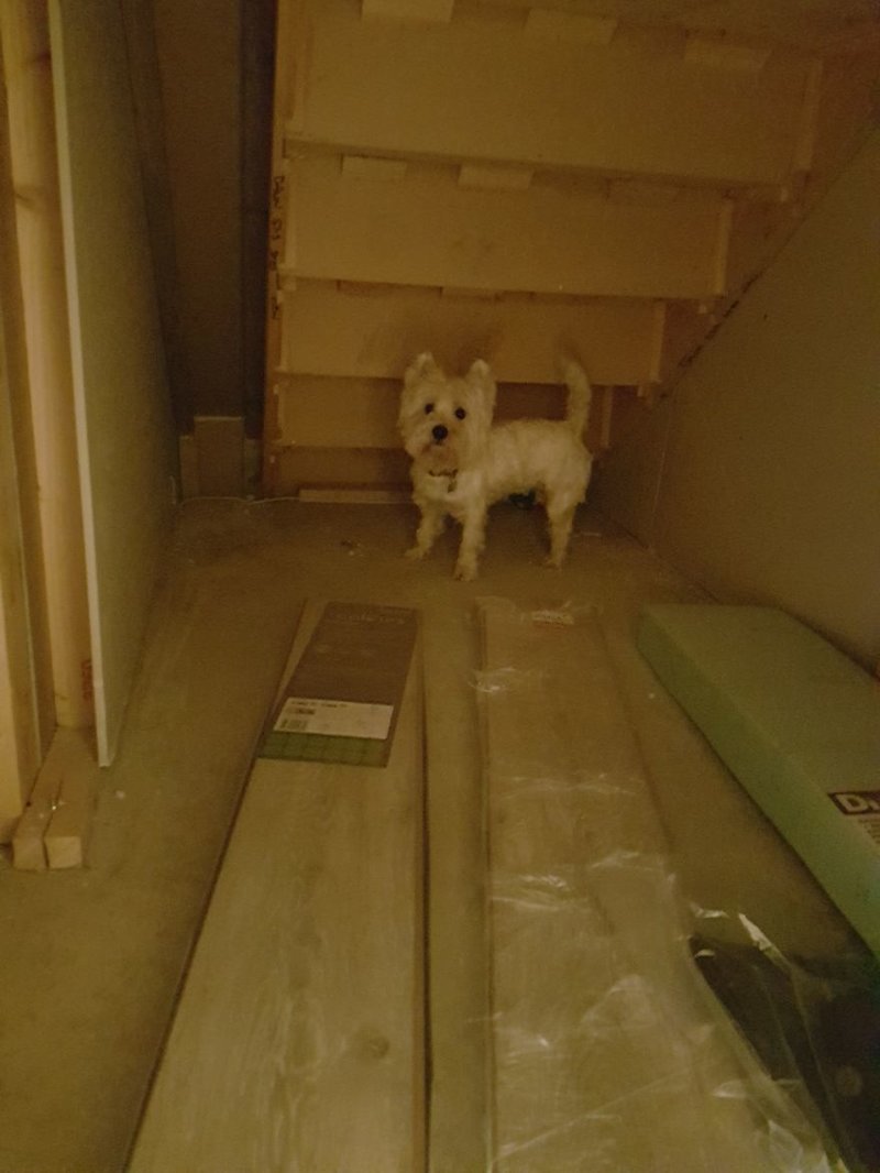 Most importantly… don’t want Molly to be scared of the space, so in for an early look. Definitely going to be big enough!