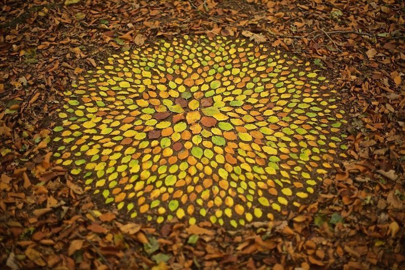 Artist Spends Hours Arranging Natural Objects Into Stunning Mandalas, Leaves Them For You To Find