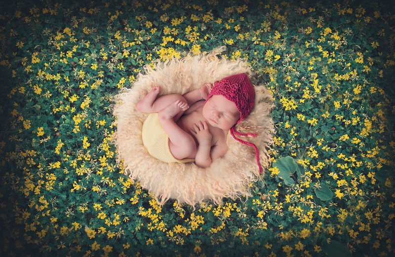I Photograph Babies Surrounded By My Handmade Mandalas
