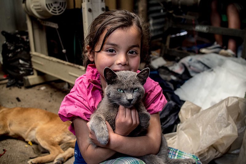 In a Colombian home living on $163/month per adult, the favorite toy is a cat