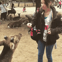 #24 In Japan, Even The Deer Are Polite #24 In Japan, Even The Deer Are Polite