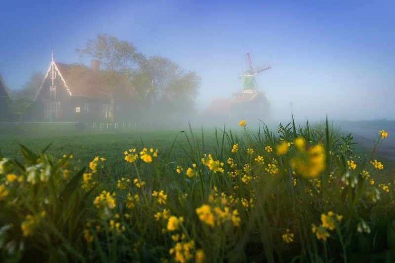 #10 With The Sun Up The Fog Slowly Flows Out Of The Way Revealing The Magical Scenery Of The Zaanse Schans
