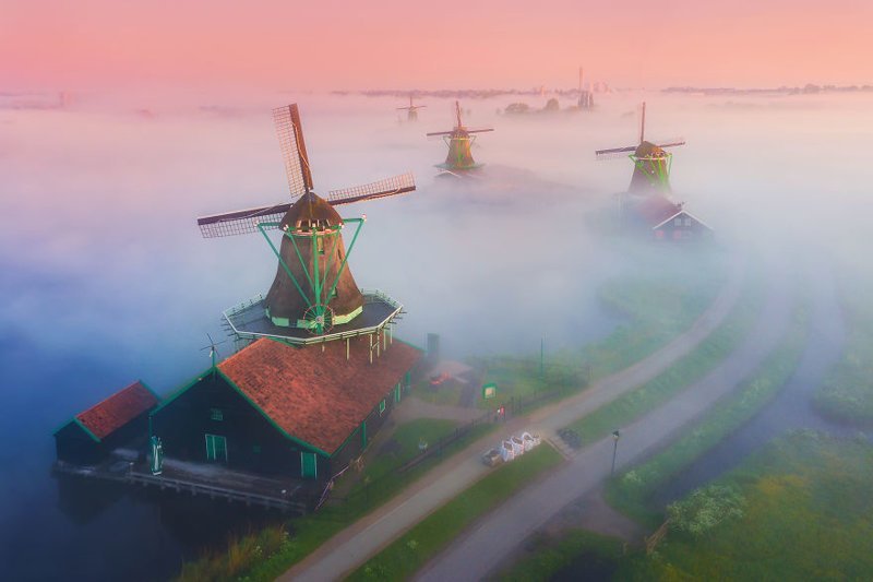 #3 Windmills Rising Above The Fog When The Sun Was Still Below The Horizon Giving A Beautiful Pink Glow