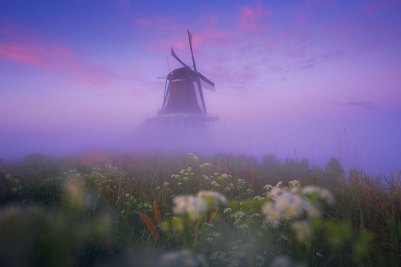 #1 Just Before Sunrise The Clouds Turn Purple. A Thick Fog Blanket Makes It Look Like The Windmills Are Floating