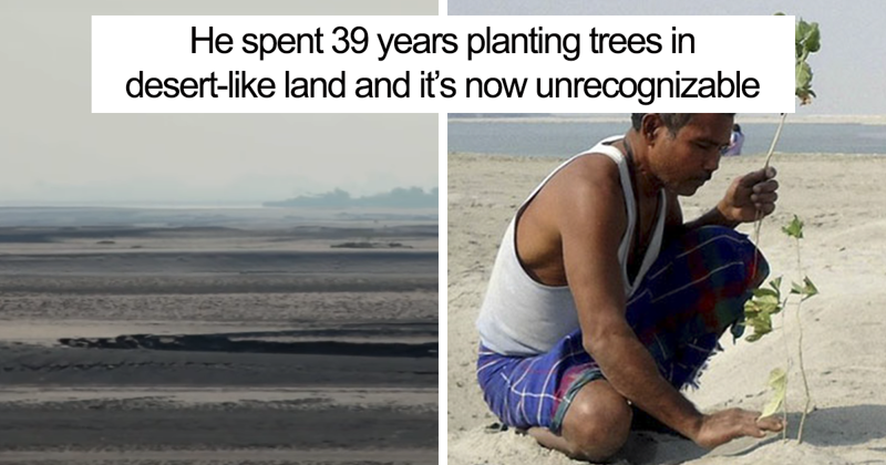 Almost 40 Years Ago a 16-Year-Old Started Planting a Tree Every Day On a Remote Island