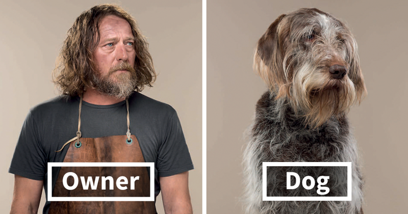 Photographer Puts Dogs And Their Owners Side By Side, And The Resemblance Is Uncanny