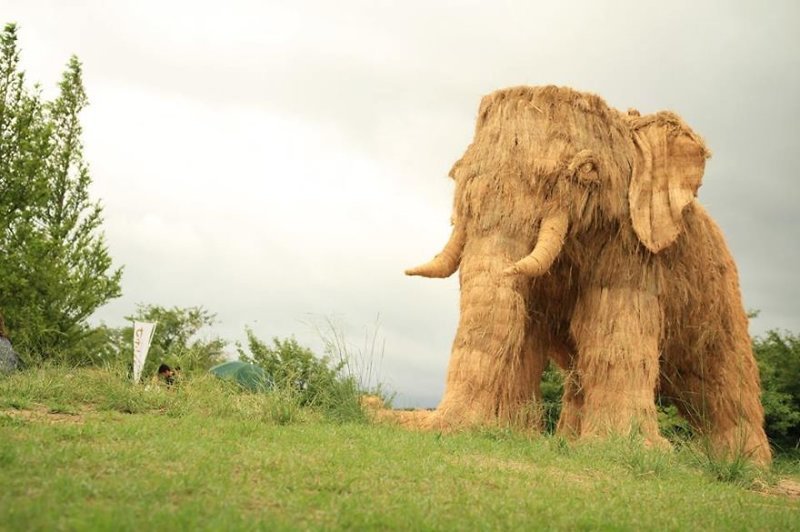 Japanese Continue The Tradition Of Rice Harvest Season By Creating Gigantic Straw Sculptures