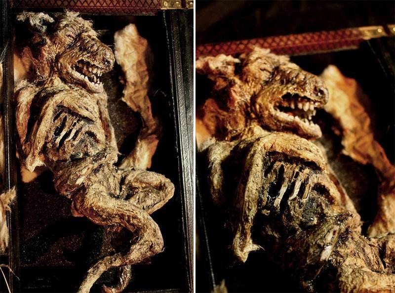 Bodies Of Strange Creatures Were Found In The Basement Of An Old House In London