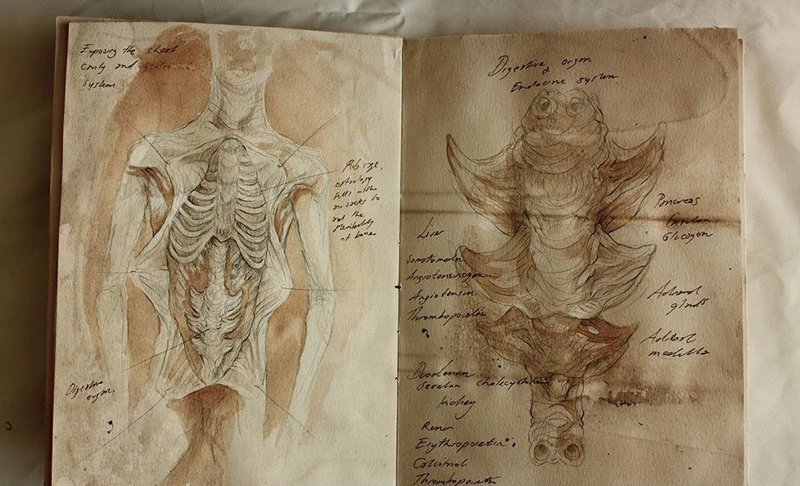 Bodies Of Strange Creatures Were Found In The Basement Of An Old House In London