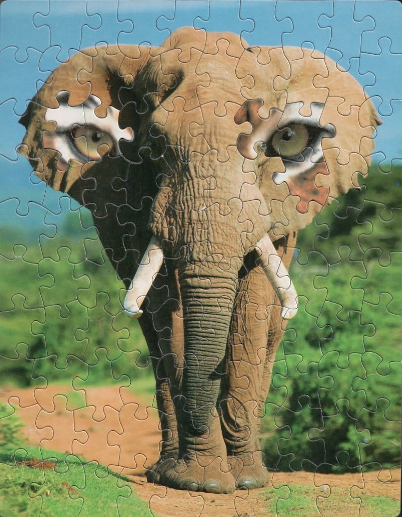 #8 The All-Seeing Elephant