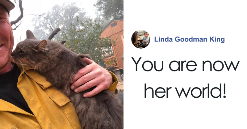 Firefighter Saves Cat From Wildfire In California, And Now She Can’t Thank Him Enough
