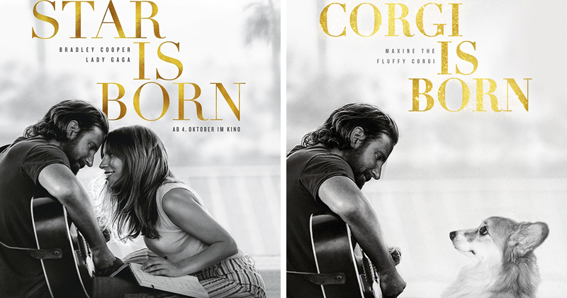 Corgi Gets Photoshopped Into Popular Movie Posters