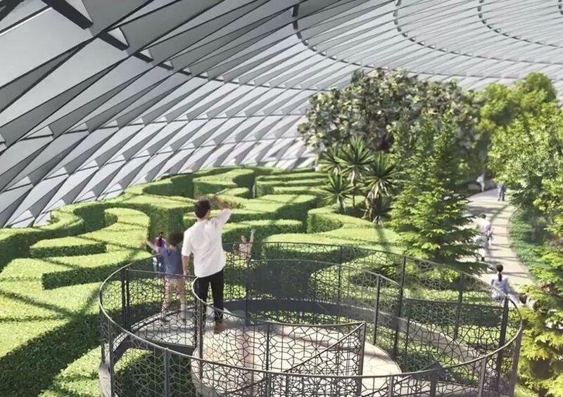 Other features include a Canopy Maze, to open later this year