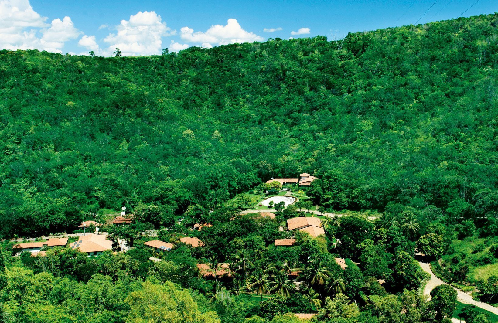 Тропический лес в Сальвадоре