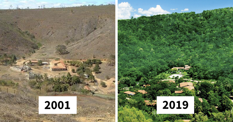 Photographer And His Wife Plant 2 Million Trees In 20 Years To Restore A Destroyed Forest