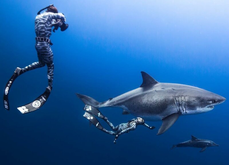 “Dancing With Sharks”: Incredible Underwater Photography By Juan Oliphant