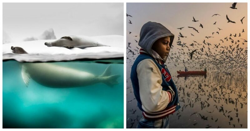 The National Geographic’s Travel Photo Contest Is Over And Here Are The Winners