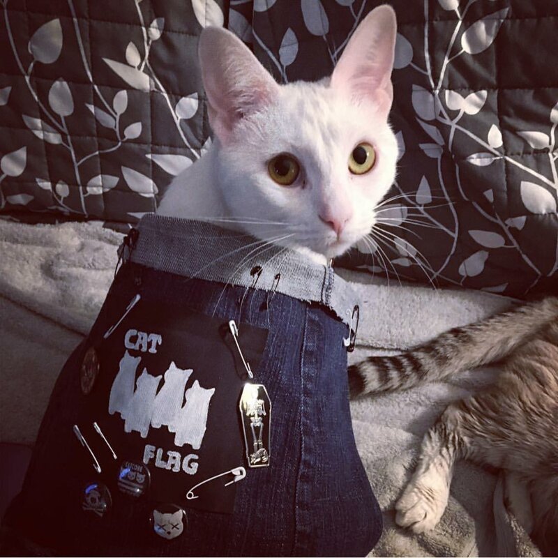 Nothing To See Here, Just Some Photos Of Cats Wearing Metal Battle Vests