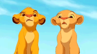 Japanese Zoo Escape Drill Goes Viral And People Are Laughing At The Real Lions’ Reaction Japanese Zoo Escape Drill Goes Viral And People Are Laughing At The Real Lions’ Reaction