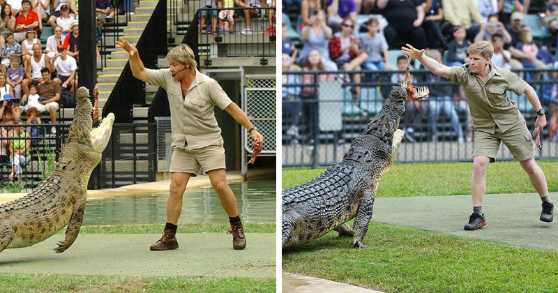 Son of the famous Steve Irwin, Robert Irwin recently recreated a famous shot of his father at the Australia Zoo
