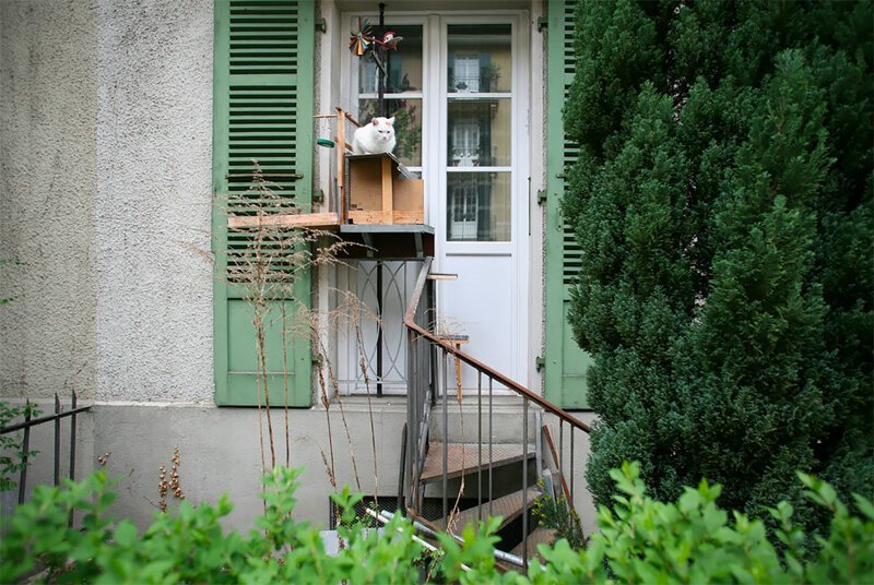 The Swiss City That’s Full Of Cat Ladders