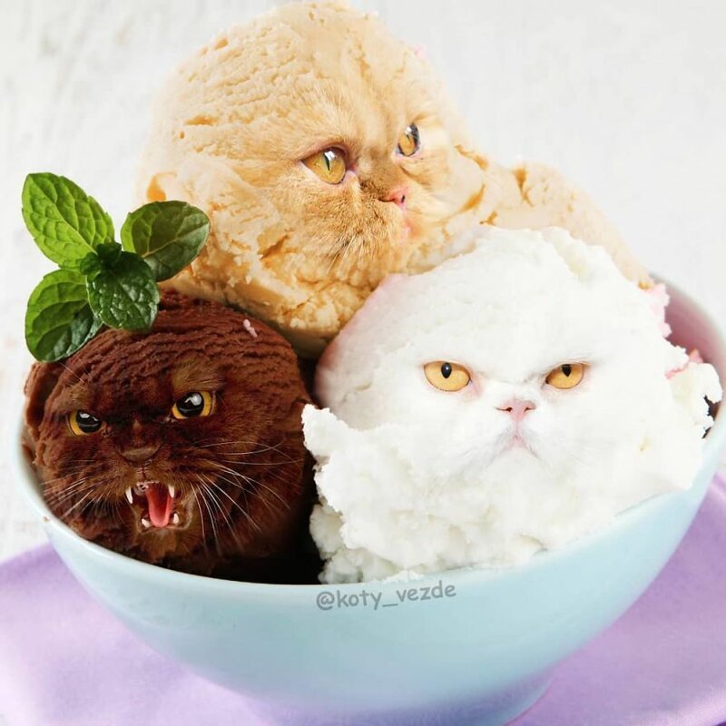 Someone Imagines What Everything Would Look Like If It Had A Cat’s Face And The Result Is Funny Yet
