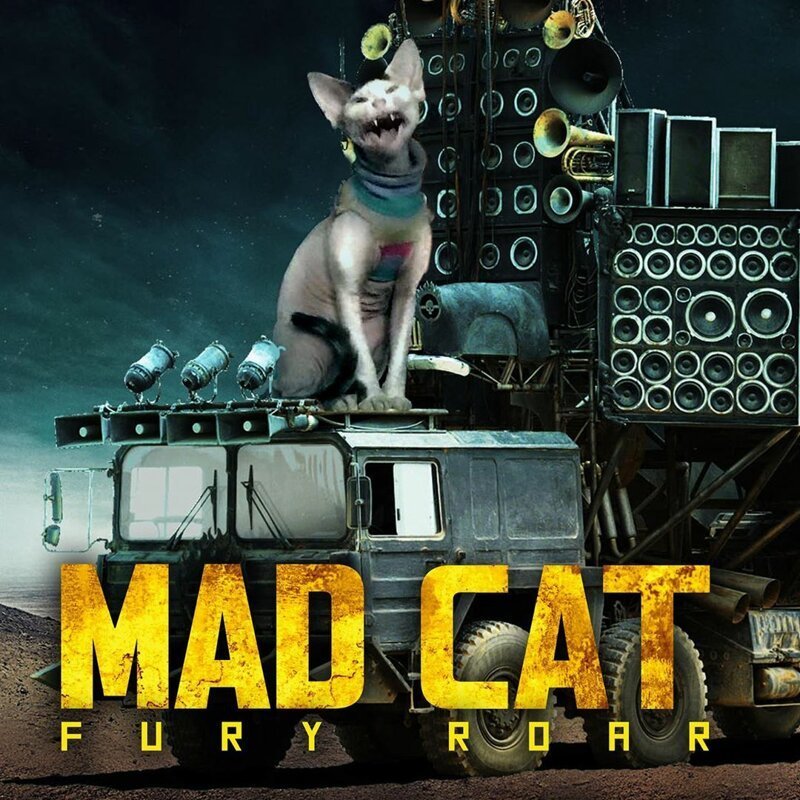 This Artist Photoshops Sphynx Cats Into Movie Posters, And It’s Very Funny